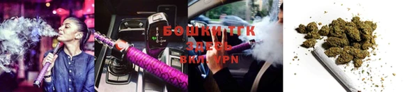 дживик Нея